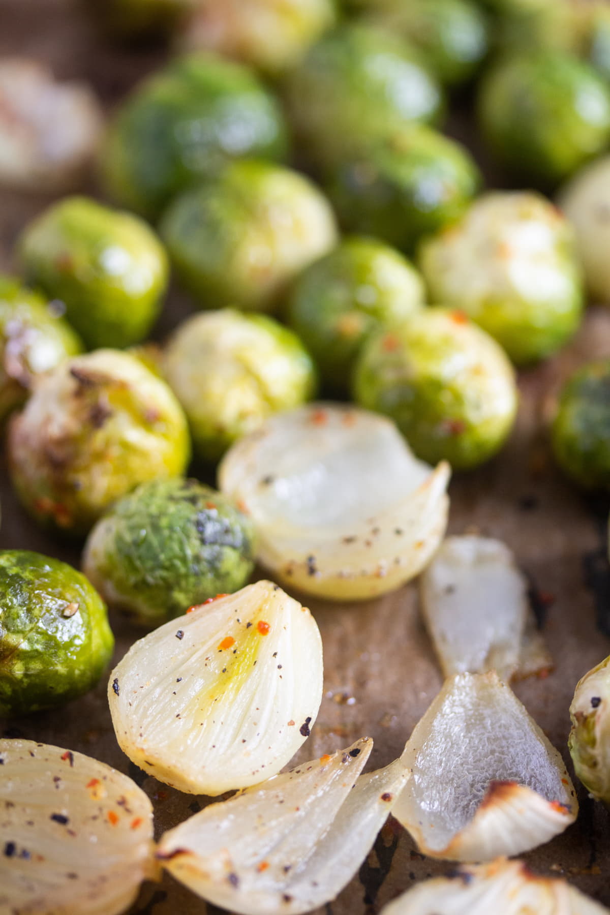 close up roasted shallots and sprouts sprinkled with chili.