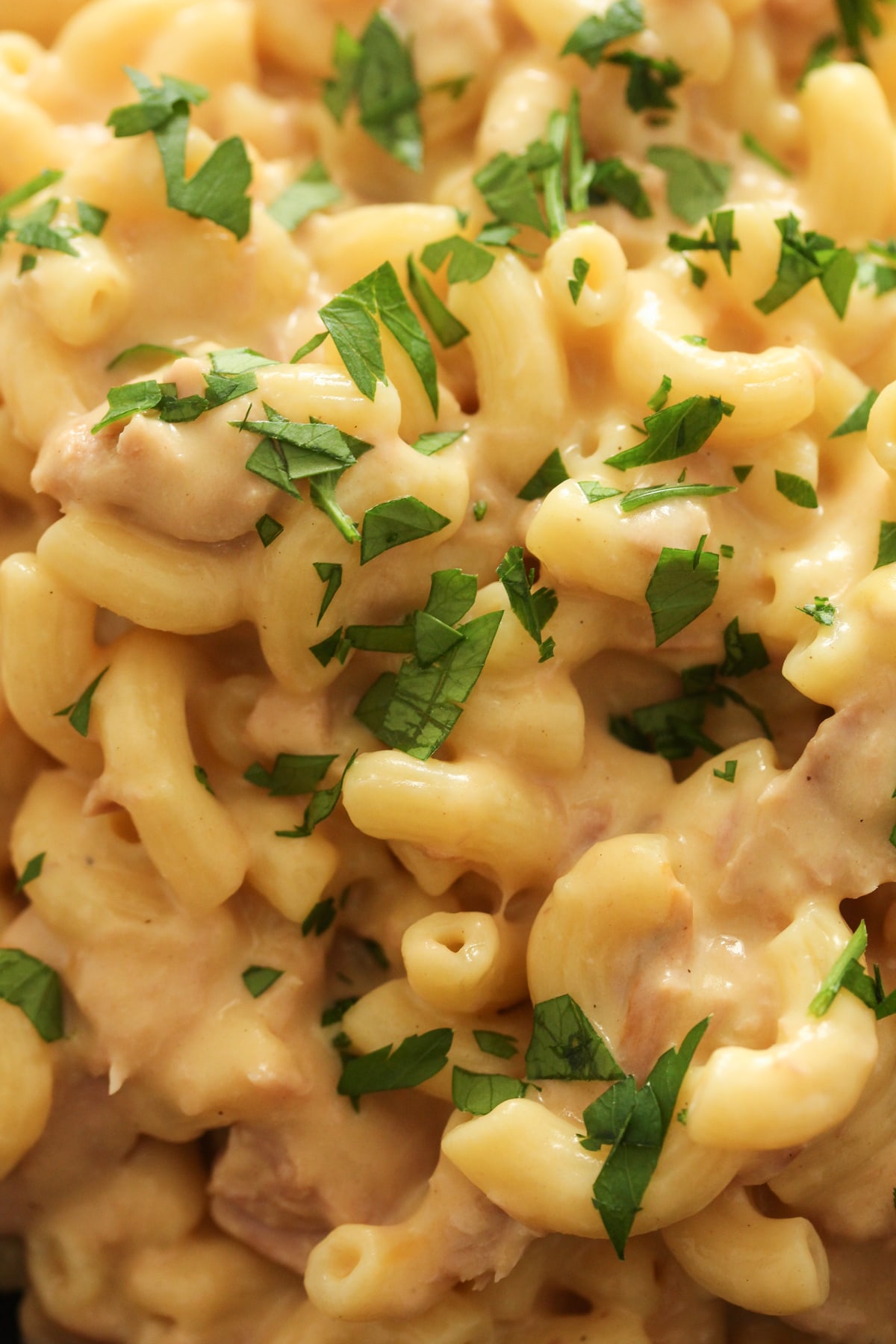 close up of creamy macaroni and cheese with tuna and parsley.