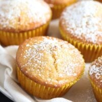 close up several vanilla muffins sprinkled with powdered sugar.