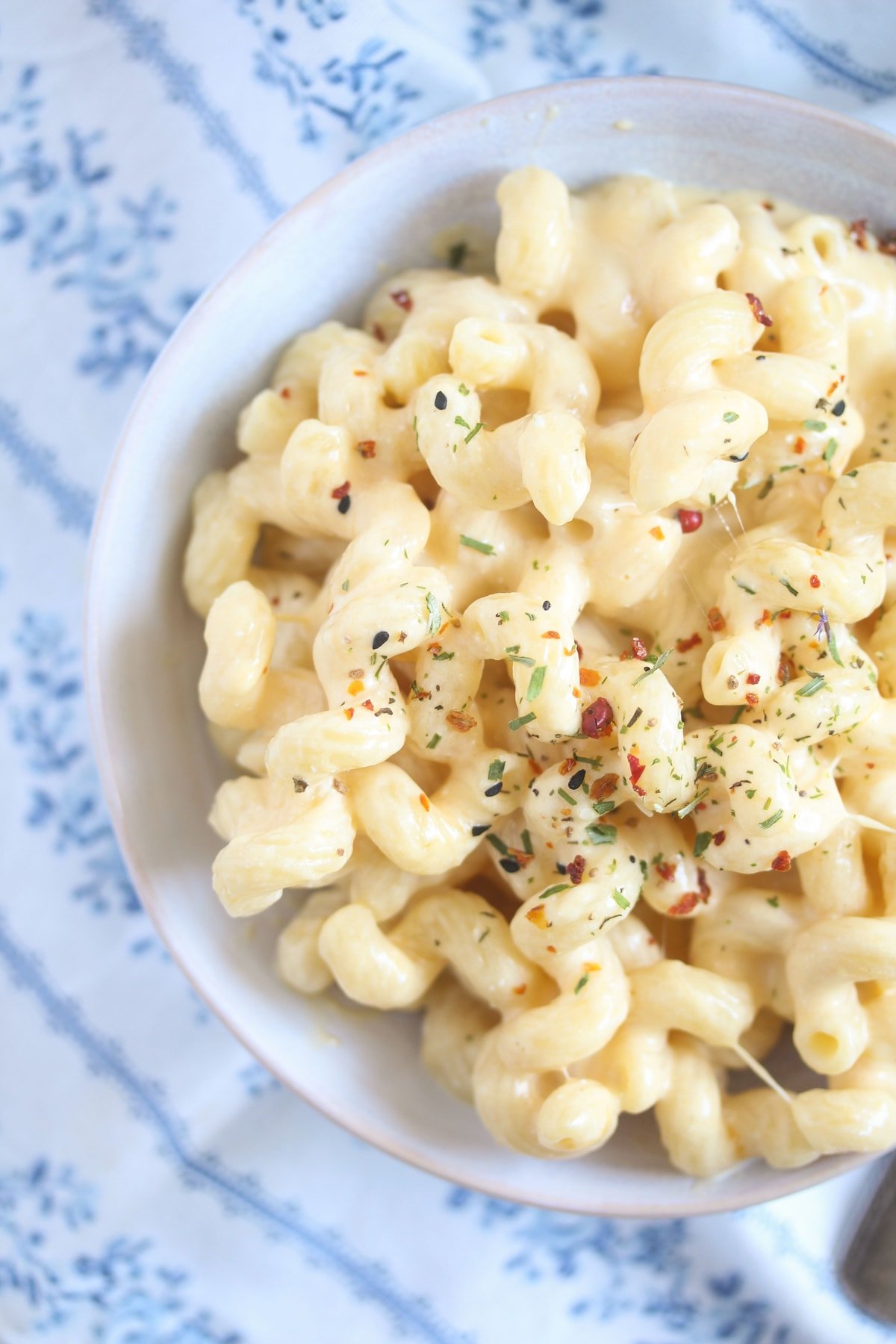 close up of macaroni with ricotta sauce on a white blue cloth.