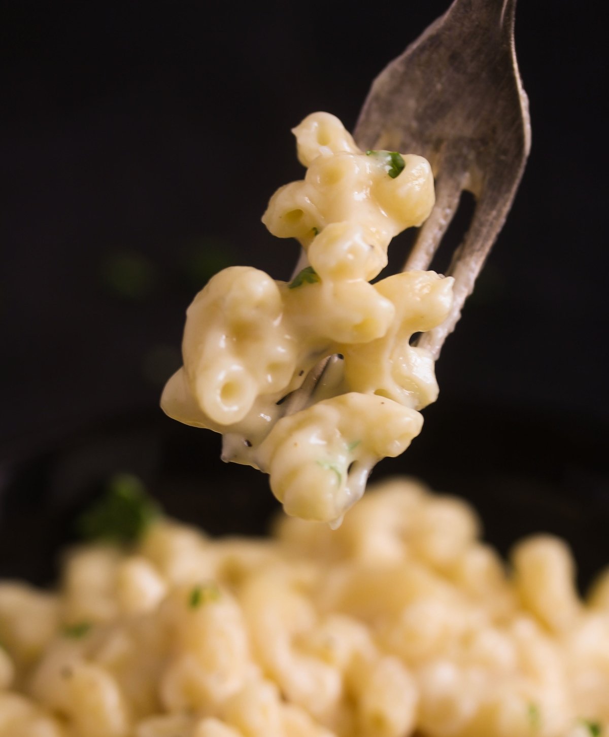 a fork lifting macaroni and cheese on a black background.