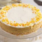 small no bake pumpkin cheesecake sprinkled with orange and yellow sprinkles.