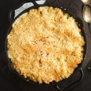 mac and cheese with cream cheese with golden topping.