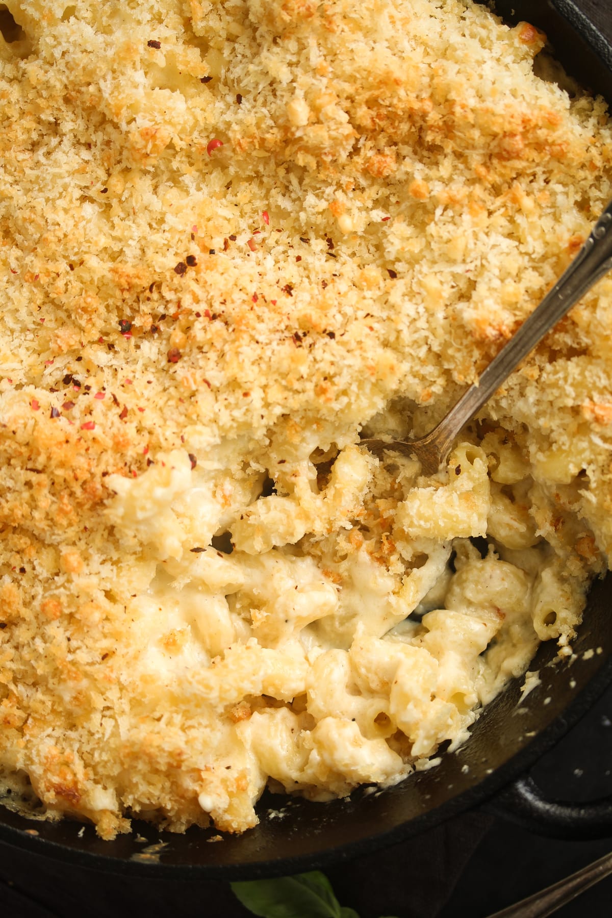 close up of creamy baked macaroni and cheese with cream cheese.