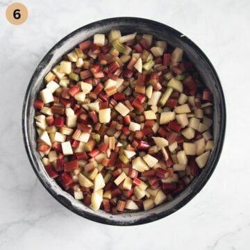 unbaked rhubarb and apple cake in a springform.