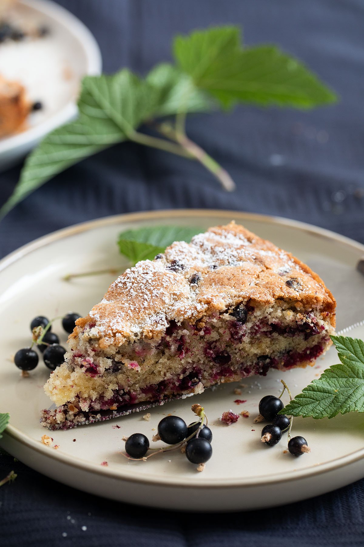 one slice of cake with black currants on a small plate, currant leaves around it.