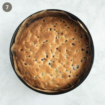 baked blackcurrant cake in a springform.