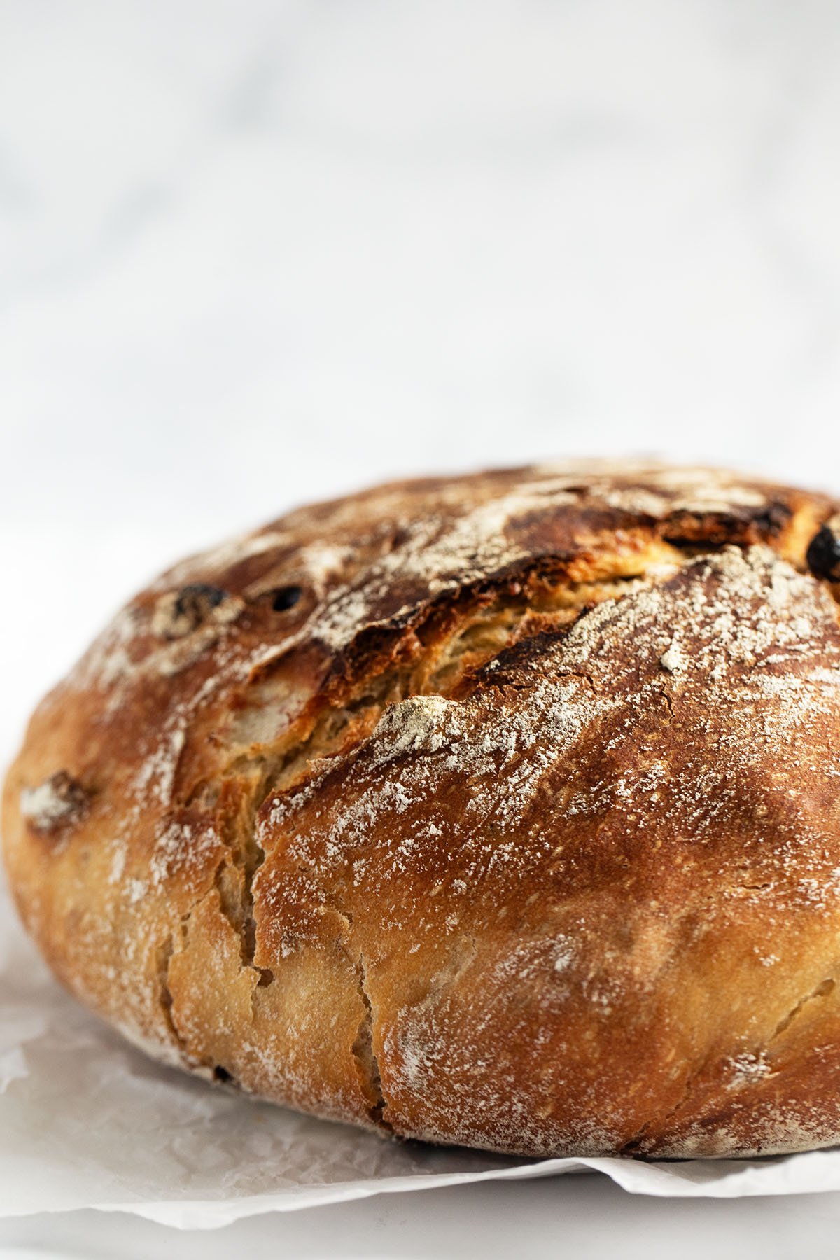 crusty loaf of bread with walnuts and cranberries baked in a dutch oven.