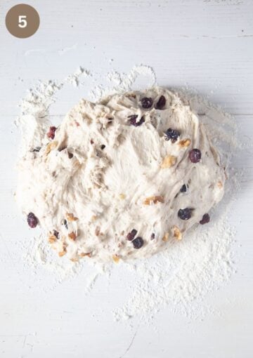 dough bread spiked with cranberries and walnuts on a floured table.