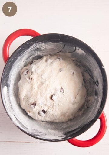unbaked cranberry and walnut bread in a dutch oven.