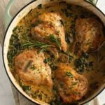chicken with spinach and mushrooms in a dutch oven.