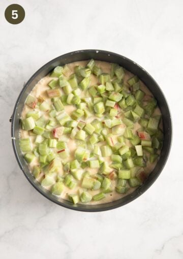 unbaked cake made with sour cream and topped with rhubarb pieces.