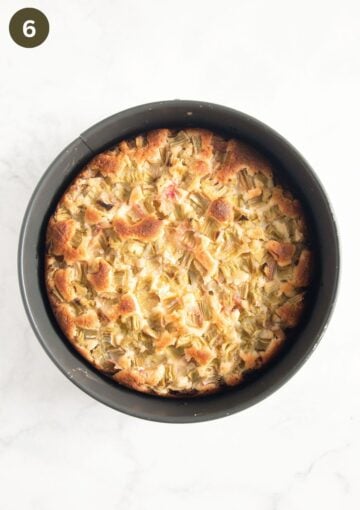 baked rhubarb sour cream cake in a springform.