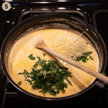 adding basil and parmesan to cream cheese sauce with green onions and tomatoes.