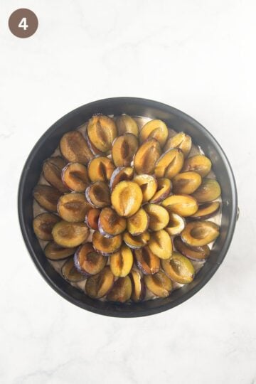 halved plums arranged on batter in a springform.